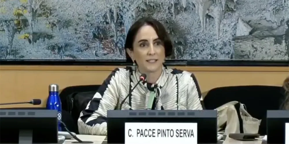 Escenario Global: Socia de TozziniFreire, Clara Serva, Interviene en el Foro de la ONU sobre Responsabilidad del Inversor