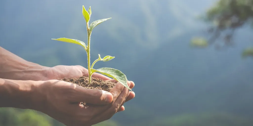 Compliance ambiental en Latinoamérica: un puente hacia la Sostenibilidad basado en Legalidad y Ética Empresarial